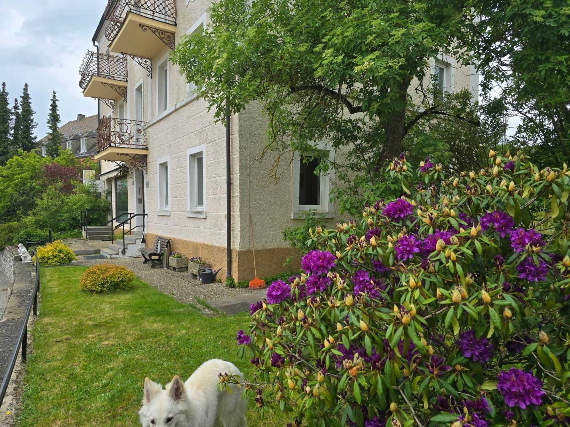 Apartment L'amour De L'art Bad Steben